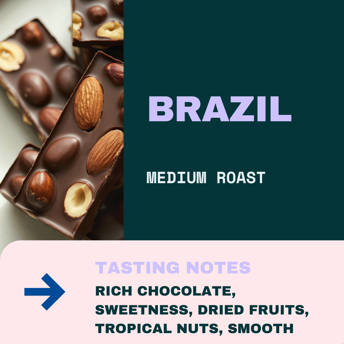 Brazil Bean