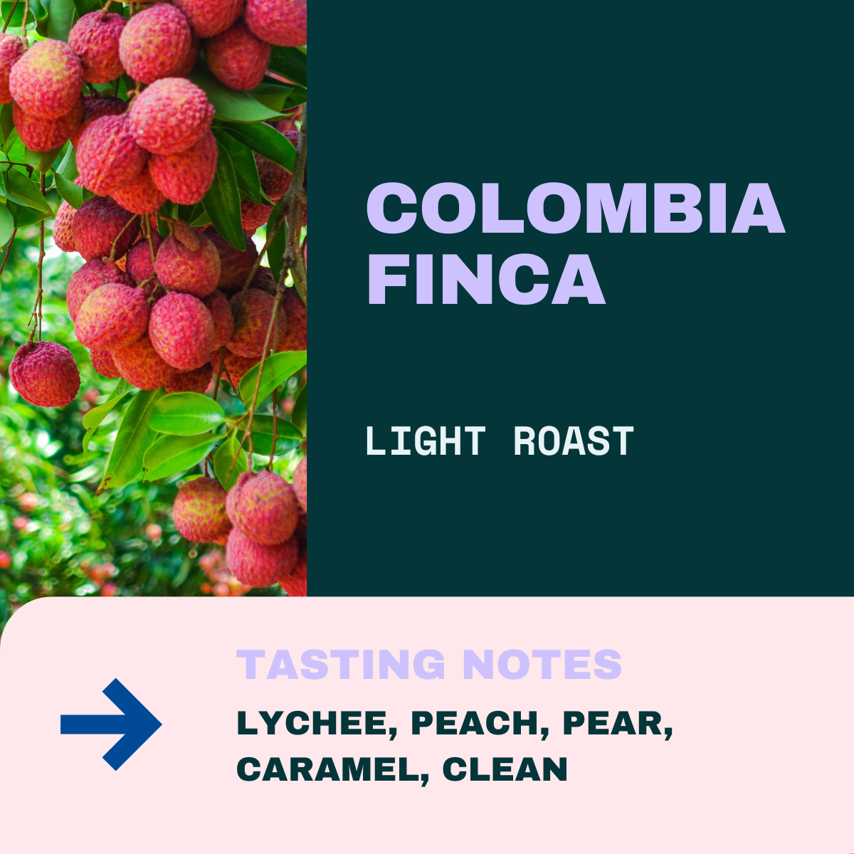 Colombia Lychee Peach: Special Edition | 5Notes Coffee Roastery